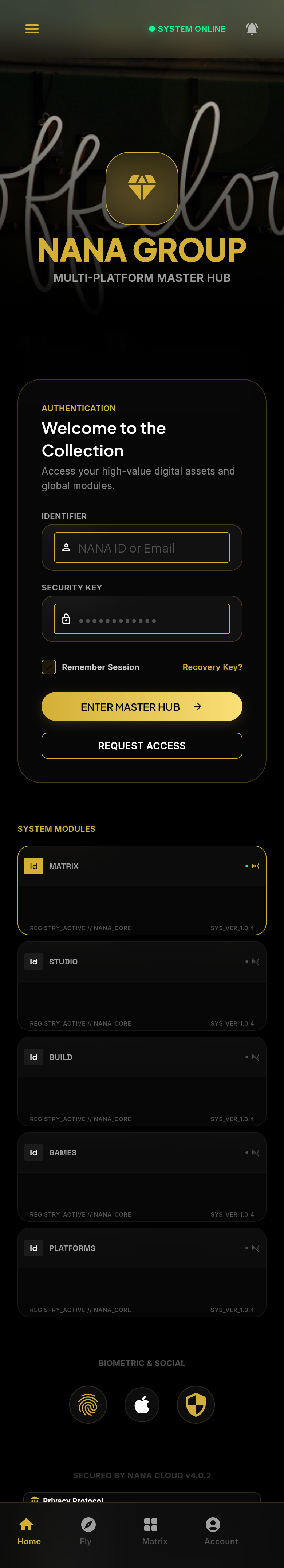 iOS App Frame